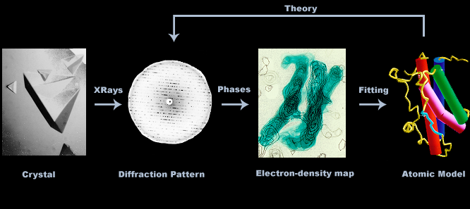 protein crystallization process